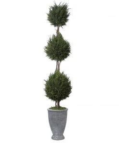 Uttermost Cypress Triple Topiary