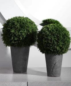 DECOR Uttermost Cypress Globes, S/2