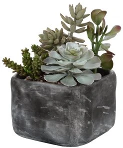 Uttermost Alverio Desert Garden Succulents DECOR