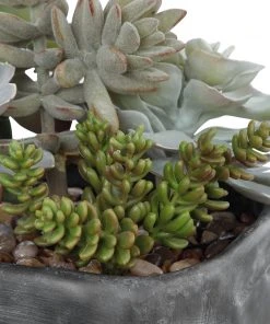 Uttermost Alverio Desert Garden Succulents DECOR