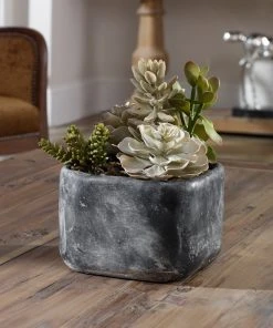 Uttermost Alverio Desert Garden Succulents DECOR