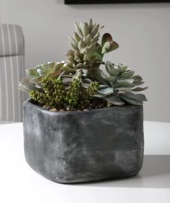 Uttermost Alverio Desert Garden Succulents DECOR