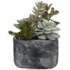 Uttermost Alverio Desert Garden Succulents DECOR