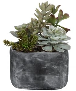 Uttermost Alverio Desert Garden Succulents DECOR