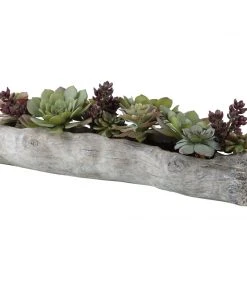 Uttermost Charita Lush Succulents 8 Uttermost Charita Lush Succulents