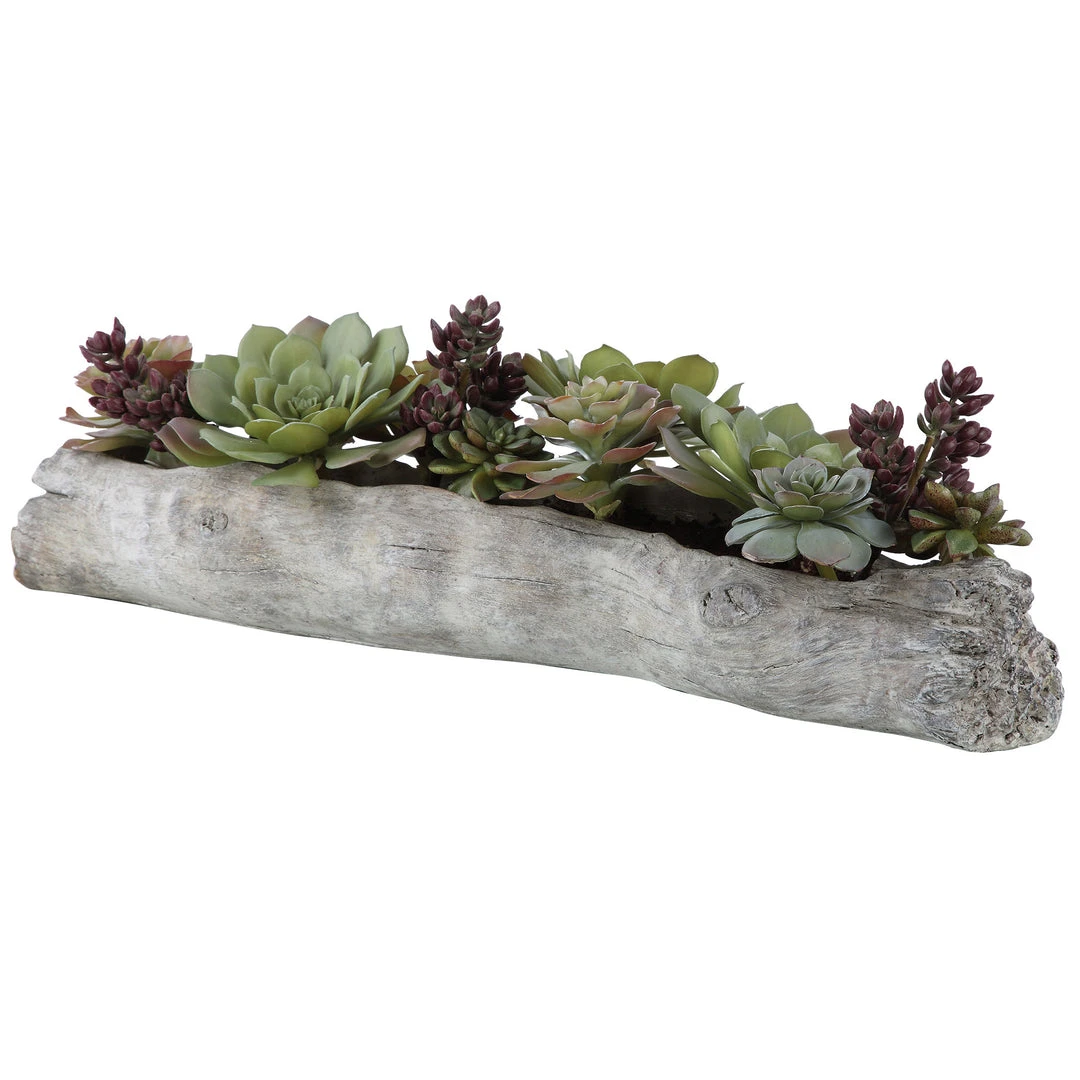 Uttermost Charita Lush Succulents 5 Uttermost Charita Lush Succulents