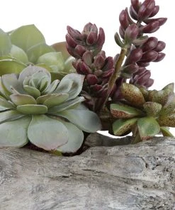 Uttermost Charita Lush Succulents 9 Uttermost Charita Lush Succulents