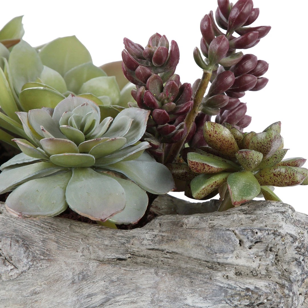 Uttermost Charita Lush Succulents 6 Uttermost Charita Lush Succulents