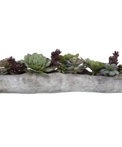 Uttermost Charita Lush Succulents