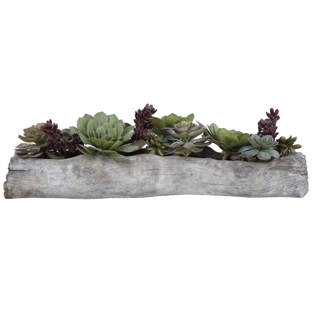 Uttermost Charita Lush Succulents 3 Uttermost Charita Lush Succulents