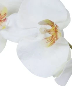 Uttermost Eponine White Orchid DECOR