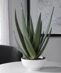 DECOR Uttermost Evarado Aloe Planter