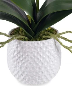 DECOR Uttermost Cami White Orchid