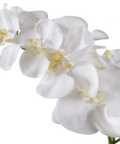 DECOR Uttermost Cami White Orchid