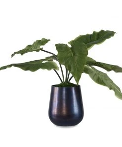 DECOR Uttermost Mari Calla Accent Plant