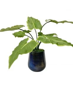 DECOR Uttermost Mari Calla Accent Plant