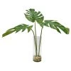 DECOR Uttermost Ibero Split Leaf Palm
