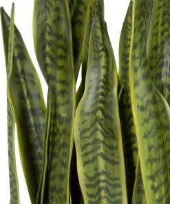 DECOR Uttermost Fasita Brass Planter 2 Cartons 7 DECOR Uttermost Fasita Brass Planter 2 Cartons