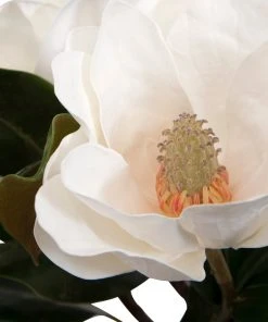 Uttermost Middleton Magnolia Flower Centerpiece