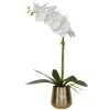Uttermost Cami Orchid With Brass Pot DECOR
