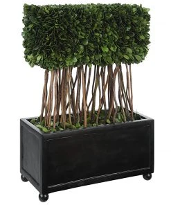Uttermost Preserved Boxwood Rectangular Topiary DECOR