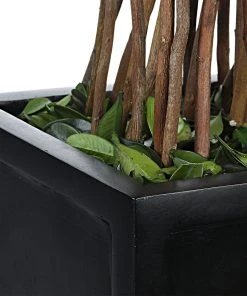 Uttermost Preserved Boxwood Rectangular Topiary DECOR