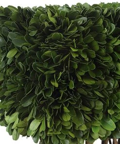 Uttermost Preserved Boxwood Rectangular Topiary DECOR