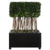Uttermost Preserved Boxwood Rectangular Topiary DECOR