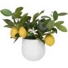 Uttermost Positano Lemon In White Pot