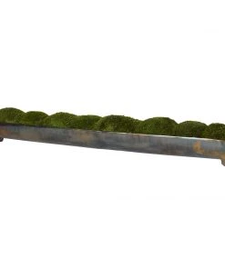 Uttermost Canal Moss Centerpiece DECOR