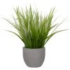 DECOR Uttermost Dracaena Grass In Gray Planter
