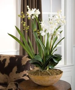 Uttermost Moth Orchid Planter DECOR