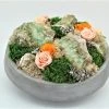 T&C Floral Company Preserved Roses In Large Concrete Bowl
