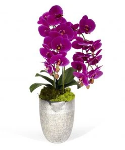 T&C Floral Company Double Orchids In Silver Container DECOR