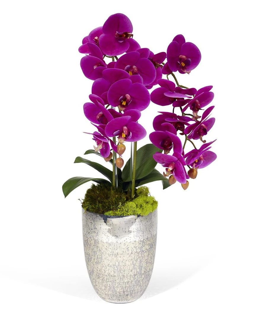 T&C Floral Company Double Orchids In Silver Container DECOR 4 T&C Floral Company Double Orchids In Silver Container DECOR