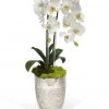 T&C Floral Company Double Orchids In Silver Container DECOR