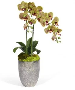 T&C Floral Company Double Orchids In Silver Container DECOR 7 T&C Floral Company Double Orchids In Silver Container DECOR