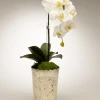 DECOR T&C Floral Company Orchid In Vintage Mercury Glass