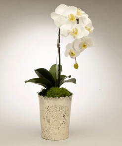 DECOR T&C Floral Company Orchid In Vintage Mercury Glass