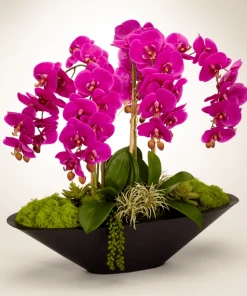 DECOR T&C Floral Company Orchid In Large Metal Boat