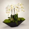 DECOR T&C Floral Company Orchid In Large Metal Boat