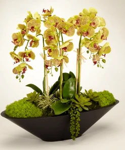 DECOR T&C Floral Company Orchid In Large Metal Boat