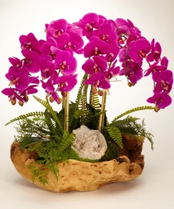 DECOR T&C Floral Company Orchid And Geode In Wood Bowl