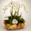 DECOR T&C Floral Company Orchid And Geode In Wood Bowl