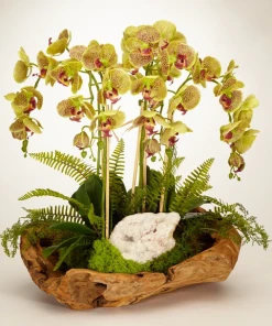 DECOR T&C Floral Company Orchid And Geode In Wood Bowl