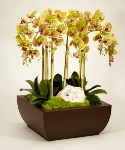 DECOR T&C Floral Company Orchid And Geode In Large Metal Box