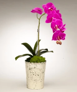 DECOR T&C Floral Company Orchid In Vintage Mercury Glass