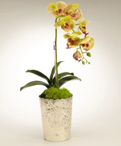 DECOR T&C Floral Company Orchid In Vintage Mercury Glass