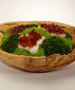 DECOR T&C Floral Company Organic Moss Garden In Hand Carved Wood Log