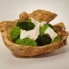 DECOR T&C Floral Company Organic Moss Garden In Hand Carved Wood Log